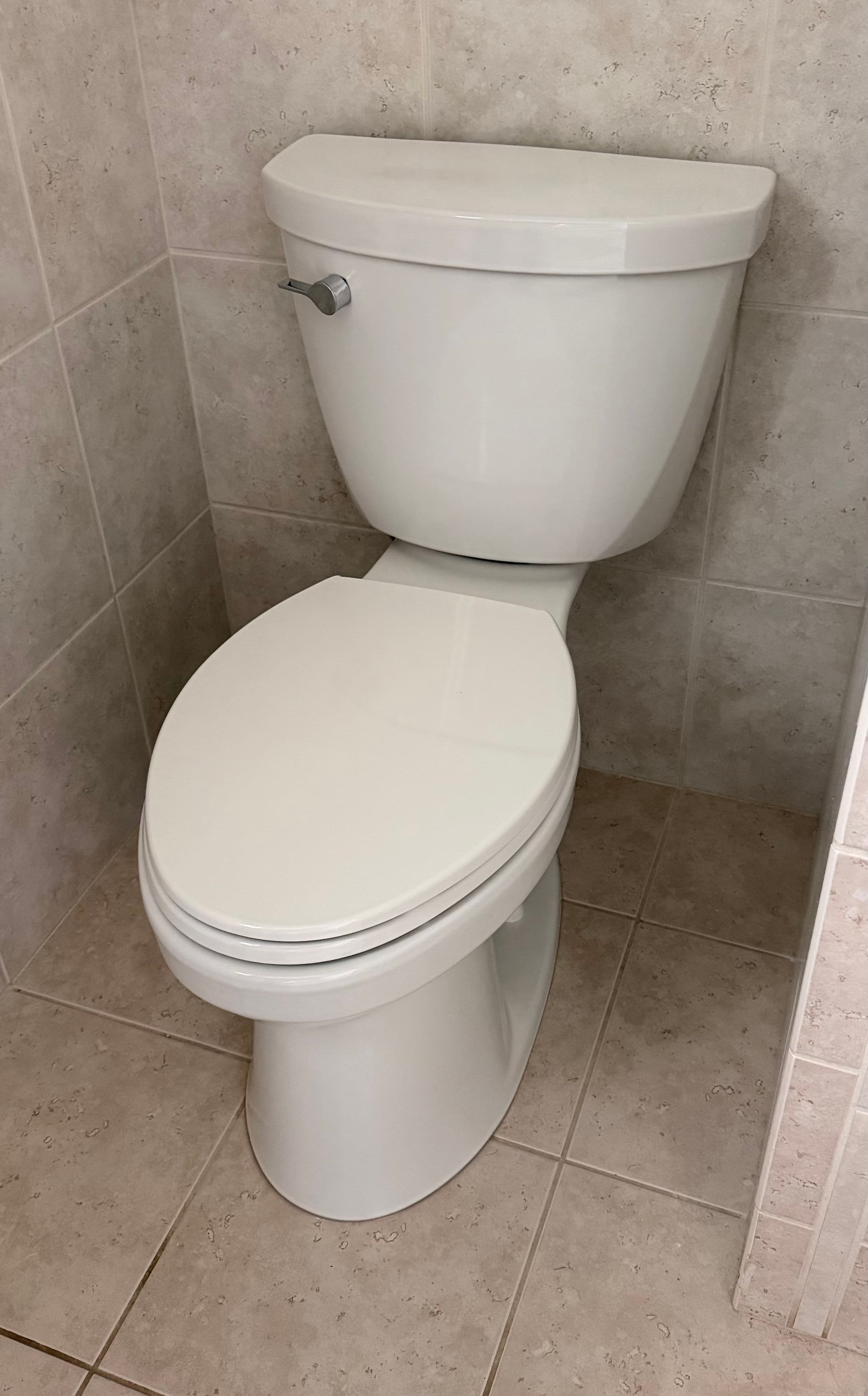 Project New Toilet Install Done Clean and Done Right image